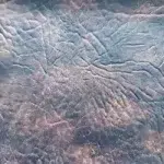 Distressed leather King Ranch in Black Saddle Brown with deep vintage grain texture for automotive, marine, and luxury hospitality applications